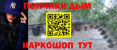 синтетический гашиш Заводоуковск