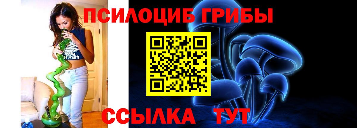 Псилоцибиновые грибы MAGIC MUSHROOMS  Вход с VPN  Михайловка 